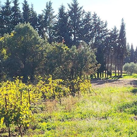Maison Village Vacances Demeures Du Ventoux Aubignan Dış mekan fotoğraf