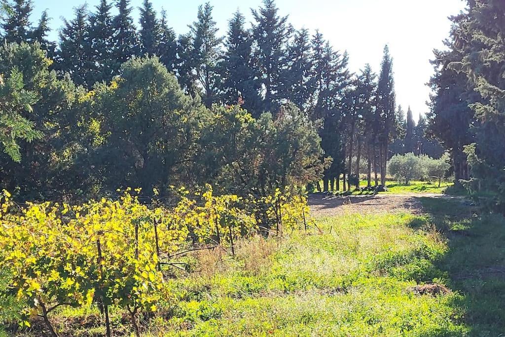 Maison Village Vacances Demeures Du Ventoux Aubignan Dış mekan fotoğraf
