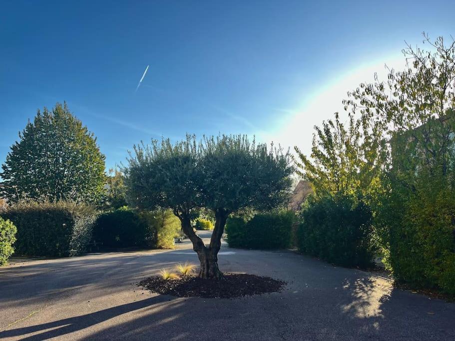 Maison Village Vacances Demeures Du Ventoux Aubignan Dış mekan fotoğraf
