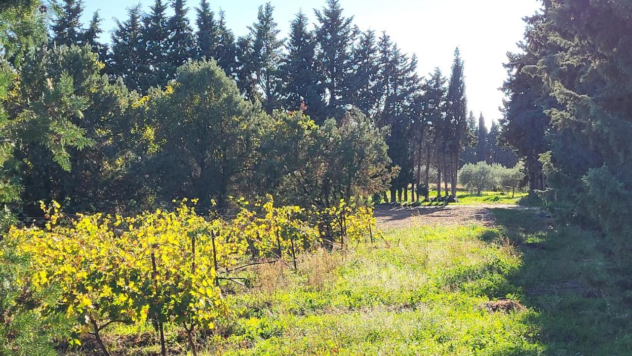 Maison Village Vacances Demeures Du Ventoux Aubignan Dış mekan fotoğraf